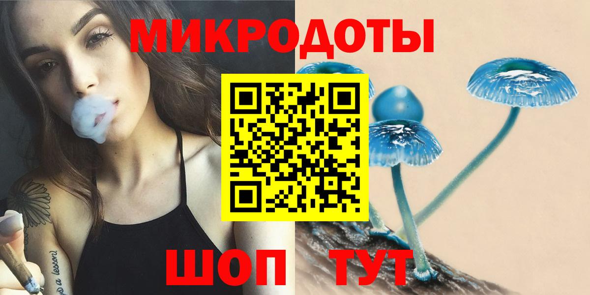 Галлюциногенные грибы Psilocybe Стрежевой